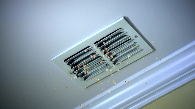 Best Professional Duct Cleaning Services  in Trenton, NJ